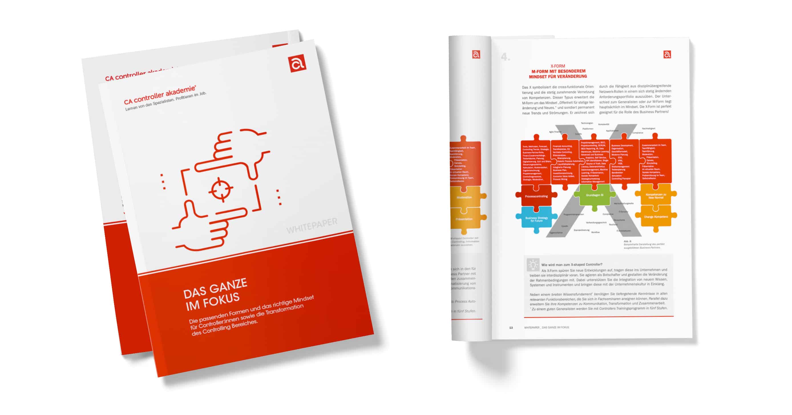 CA controller akademie Das Ganze im Fokus Whitepaper